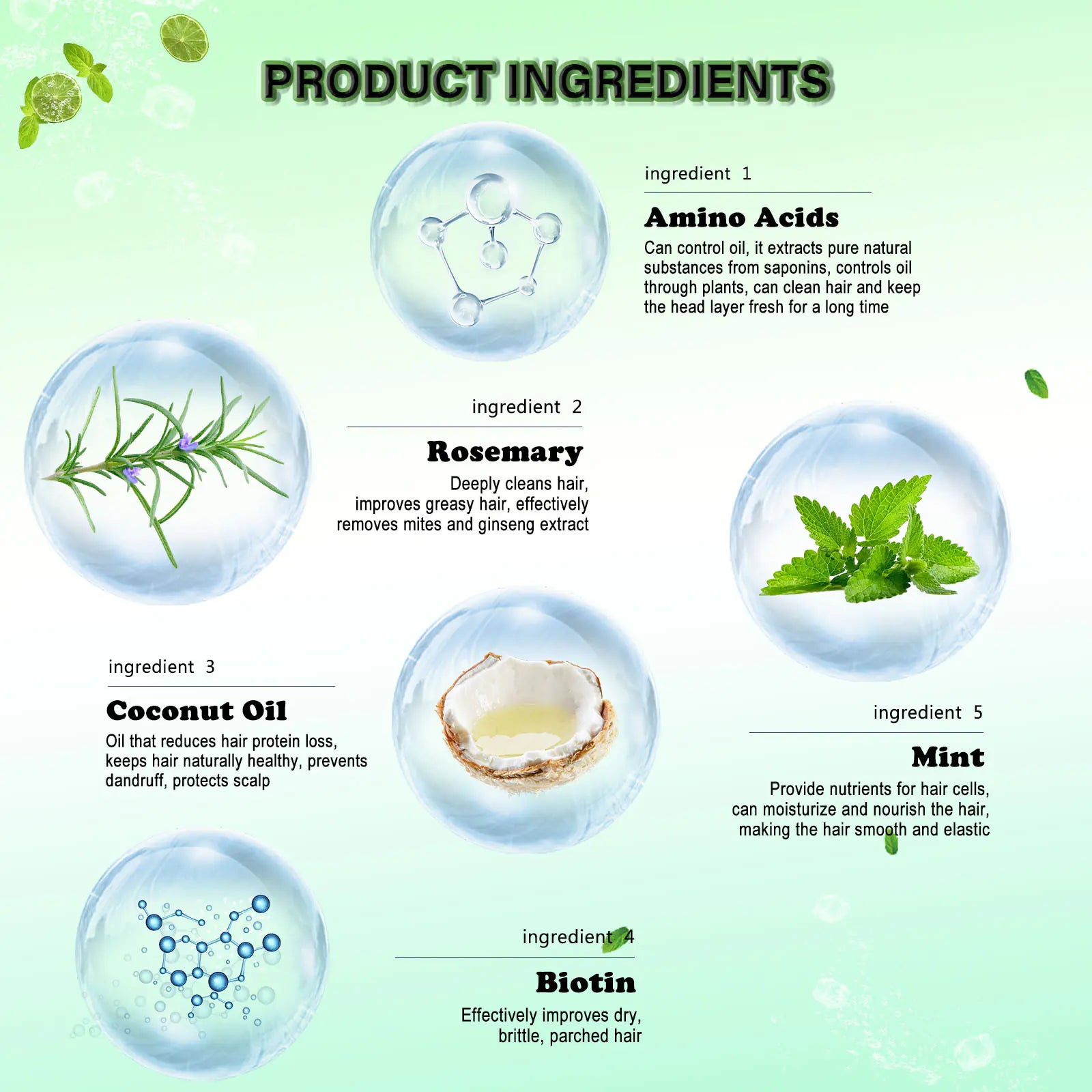 Champú de Romero y Menta EELHOE para Cabello Seco y Encrespado